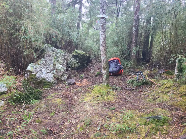 中間卡了一棵樹所以空間很受限