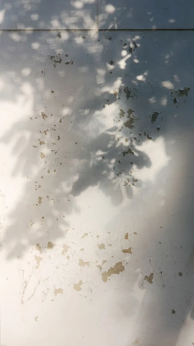 有些情緒需要翻譯