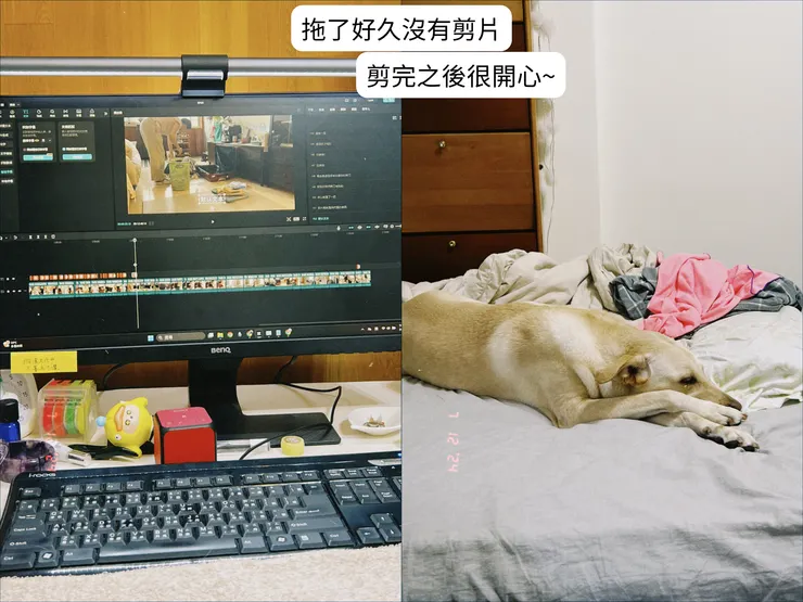 雞蛋優雅的睡姿