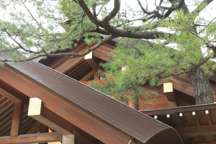 碩大的木材，很令人驚艷