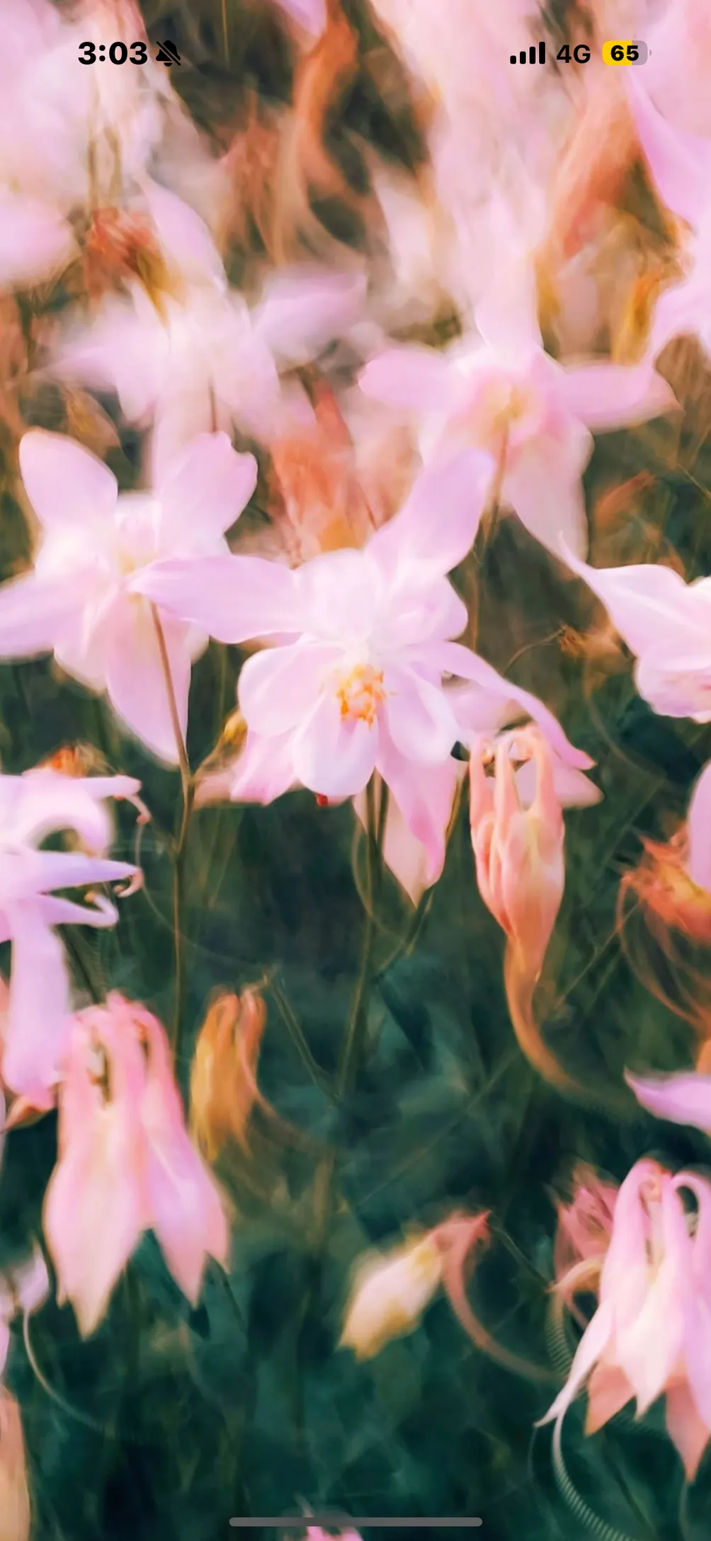 ARCAWAKE Team的沙龍