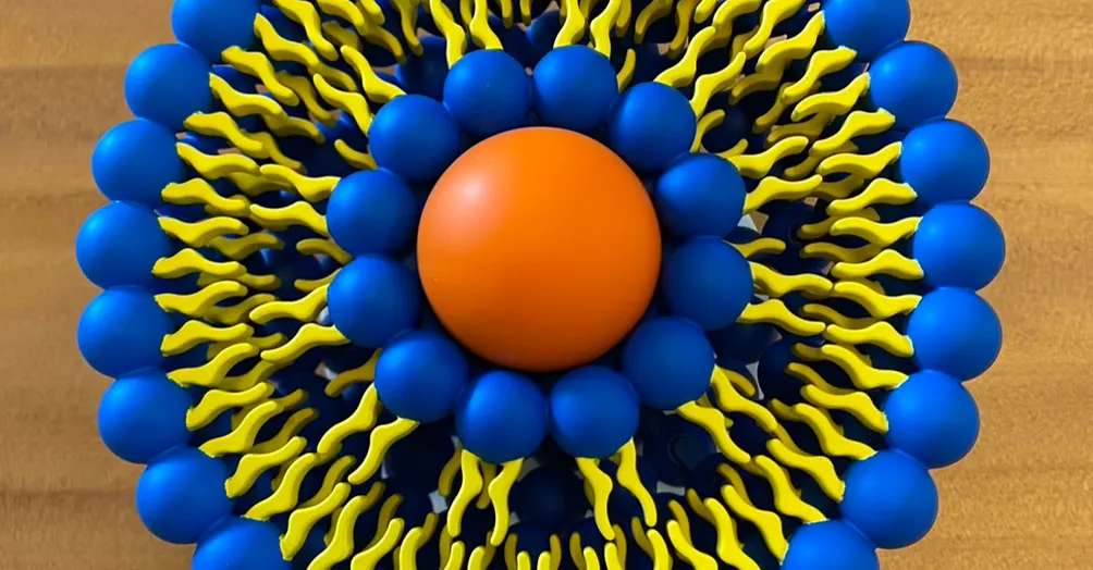 沒證照的保健食品配方師的沙龍