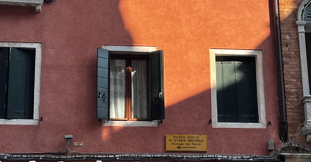 中和羅小姐與無疾而終的愛情們