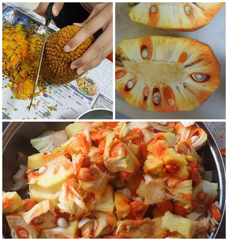 要吃它可不容易，刀子要先抹油才好切。切開來的巴基魯很像鳳梨，只是不曉得為什麼某部分的果肉比較橘？