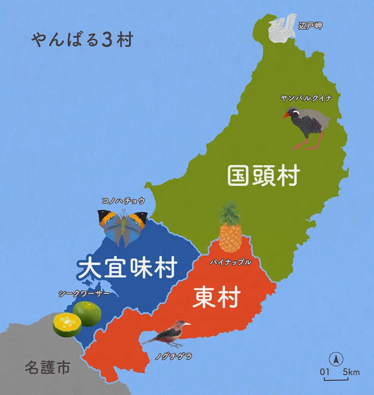 引用於日本環境省山原野生生物保護中心 大樹自然館官方網站