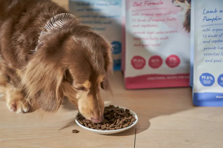 圖說:倍力寵物健康食品旗下犬糧與貓糧,以通過AAFCO餵食測試的科學實證,守護台灣貓狗的健康。(資料來源:倍力寵物健康食品)