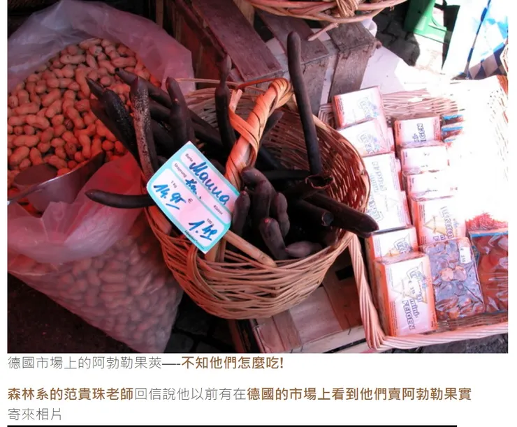 德國的菜市場賣阿勃勒 圖片截圖出自黑胡桃老師的阿勃勒花季