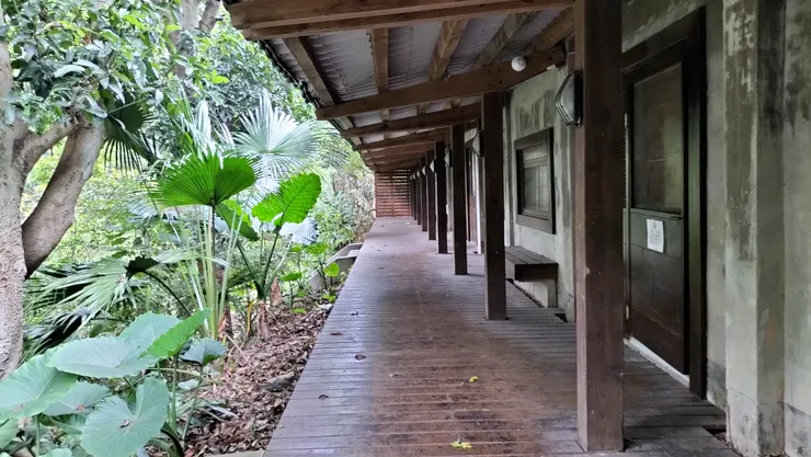 自然生態圍繞的教室