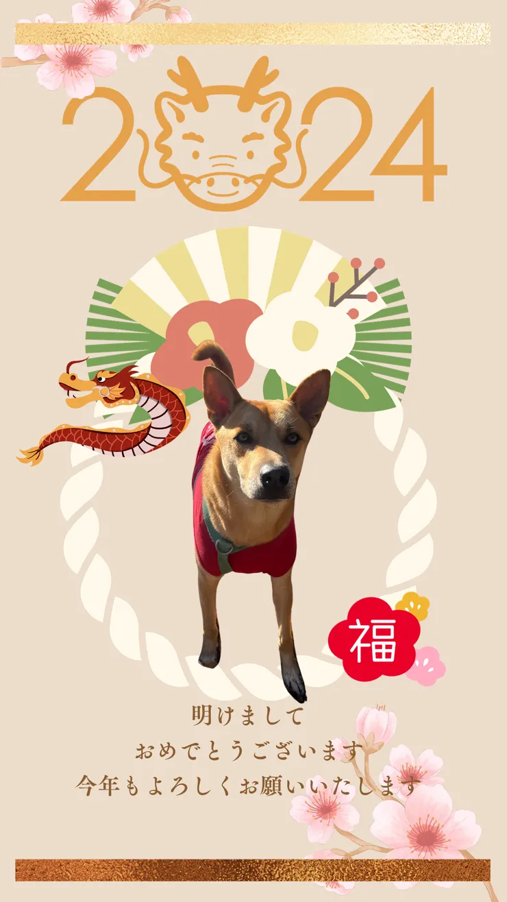 追加官方line接受免費療癒👉點擊這里👈