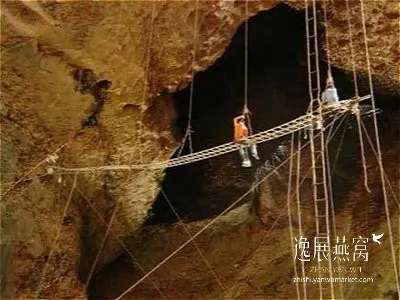 圖片取材自燕窩品牌——逸展燕窩。