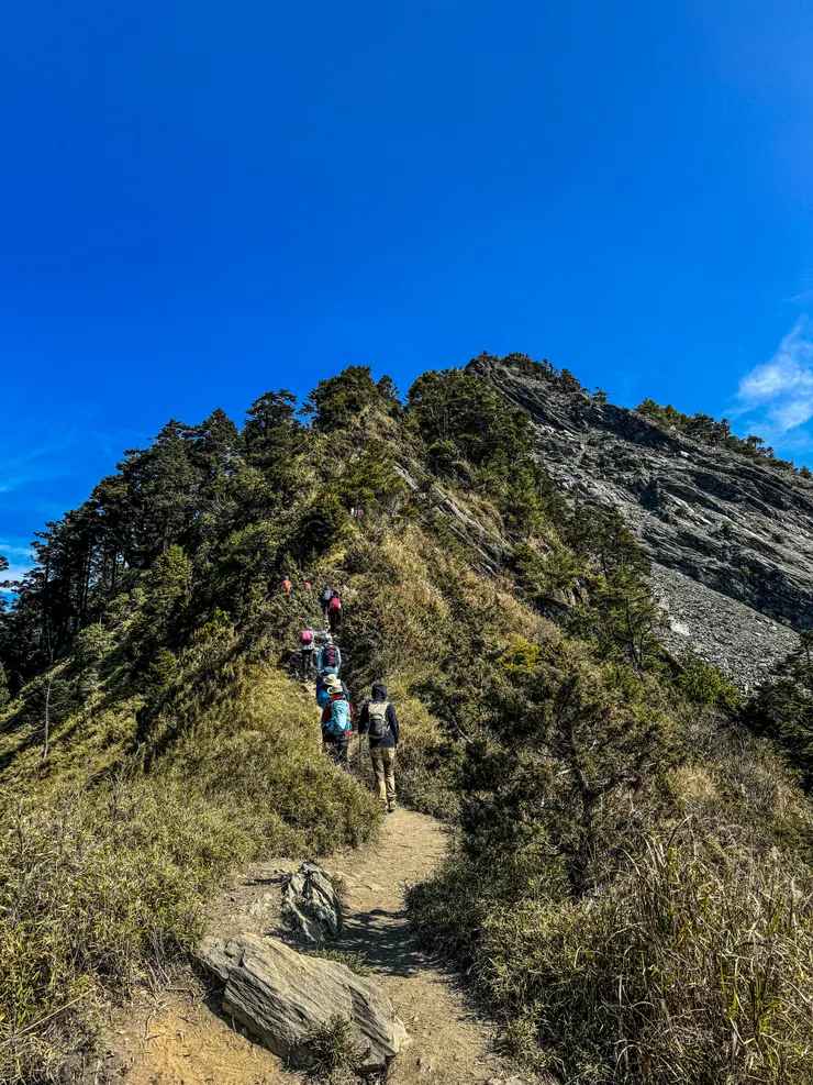 鮮豔的登山包，將單綠色的山林點綴得更加生動活潑