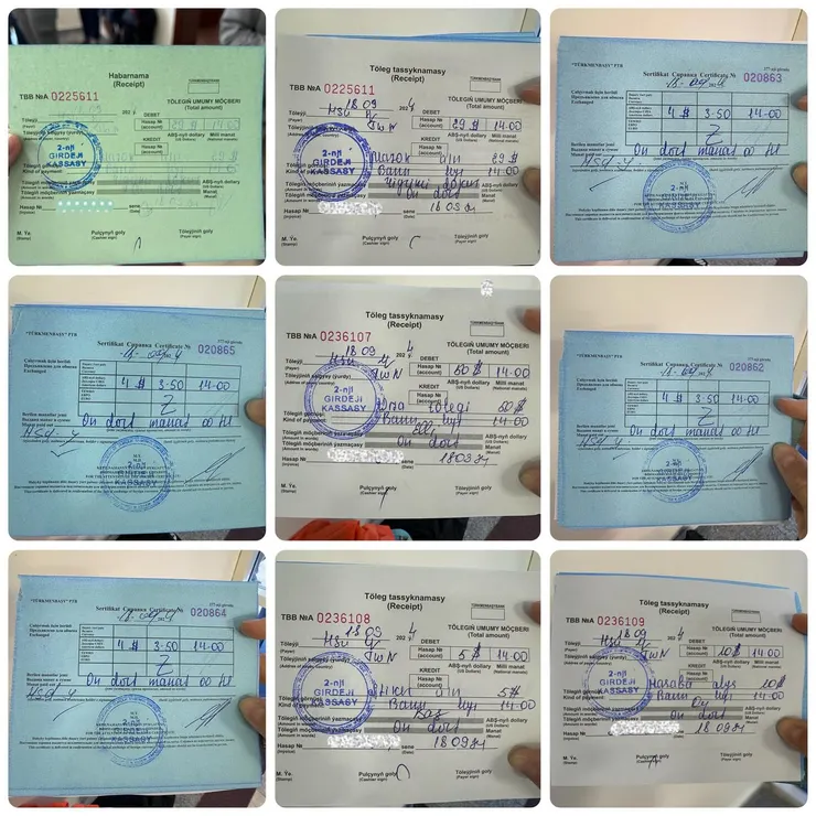 排隊入境繳了一堆錢,拿了一堆看不懂的收據