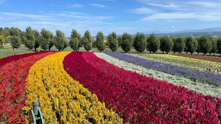 怎麼拍怎麼好看。
