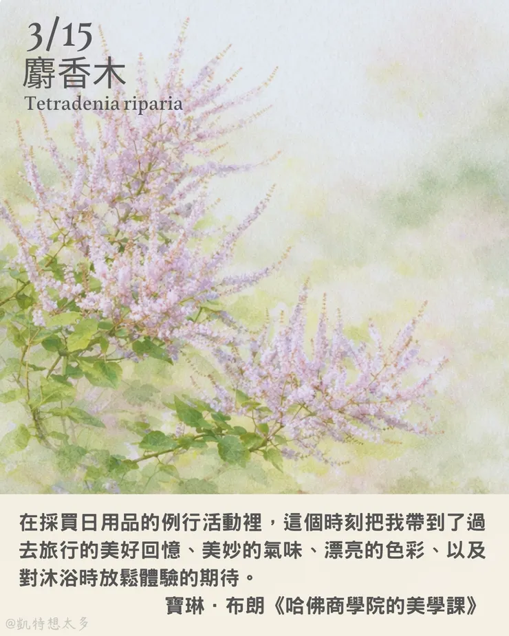 3 月 15 日｜麝香木×寶琳．布朗《哈佛商學院的美學課》