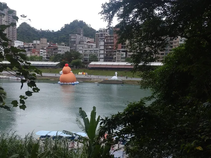 水豚君與羊駝的背面