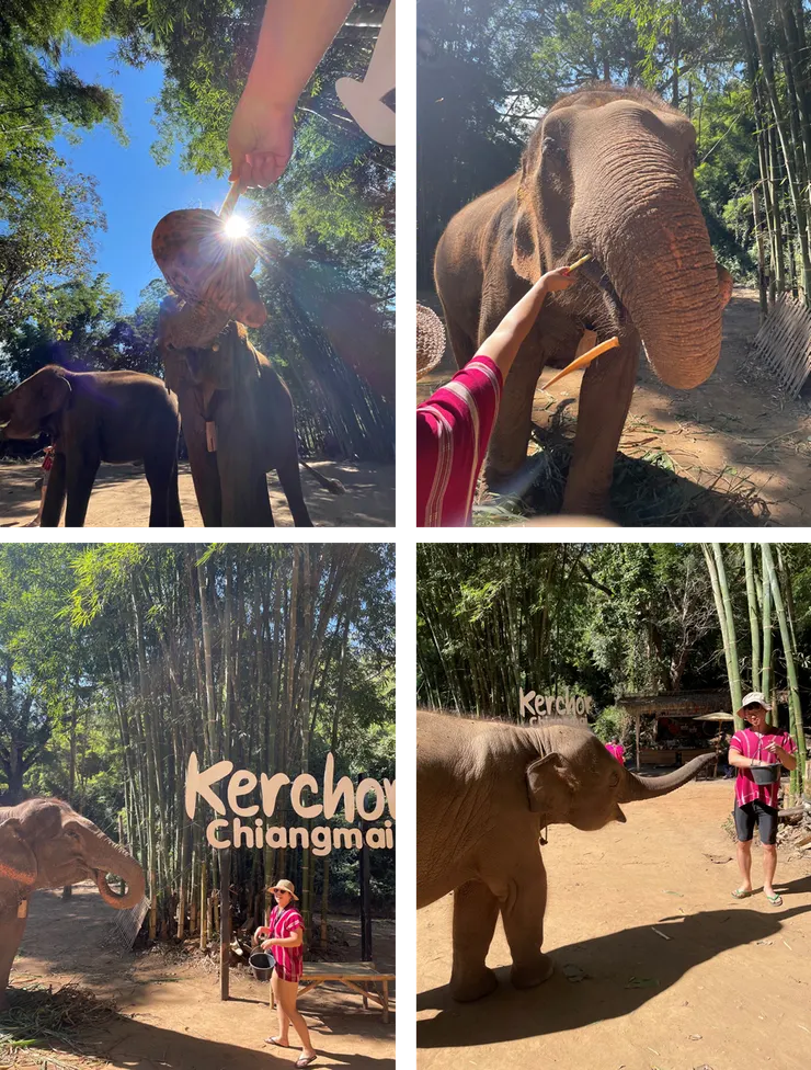 Kerchor大象生態公園。