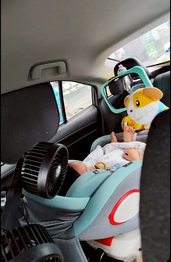 珍豬的布偶劇場🤣