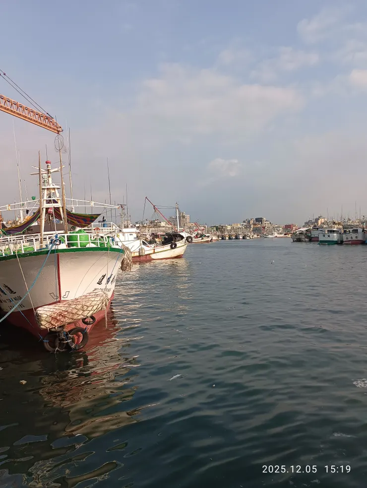 一水柔藍最關情，東港魚市拍賣場邊