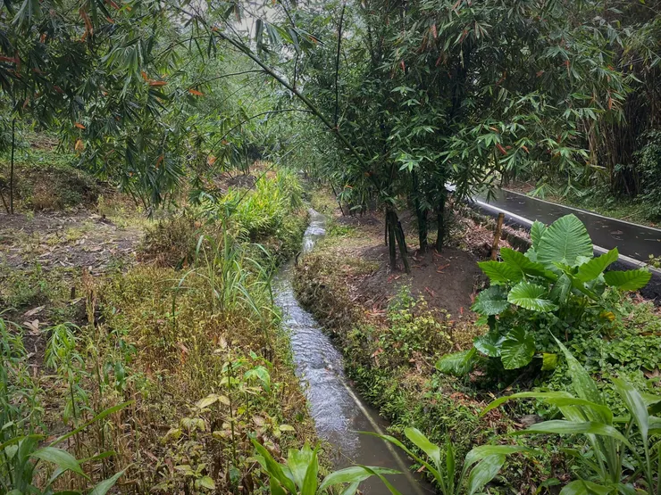 灣潭的灌溉水渠