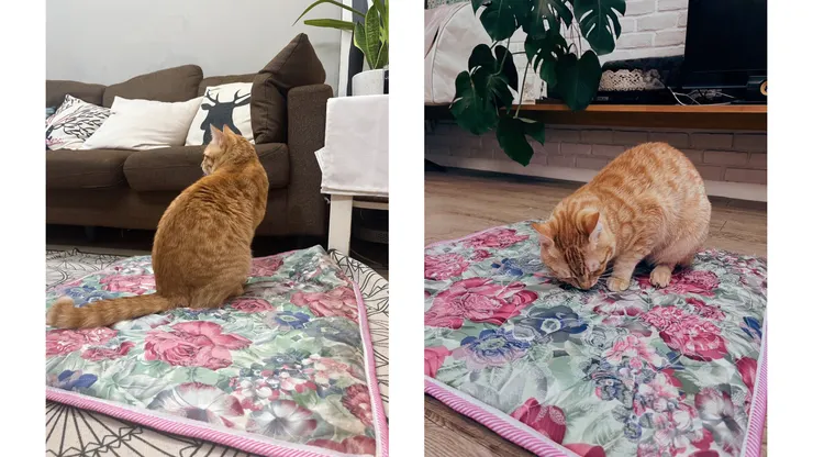 床墊外布套製成坐墊