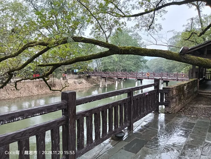 ▲「開運達人」楊登嵙教授　2025年旺財開運風水佈局指南。（圖/彭可拍攝）