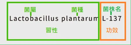 菌株名組成