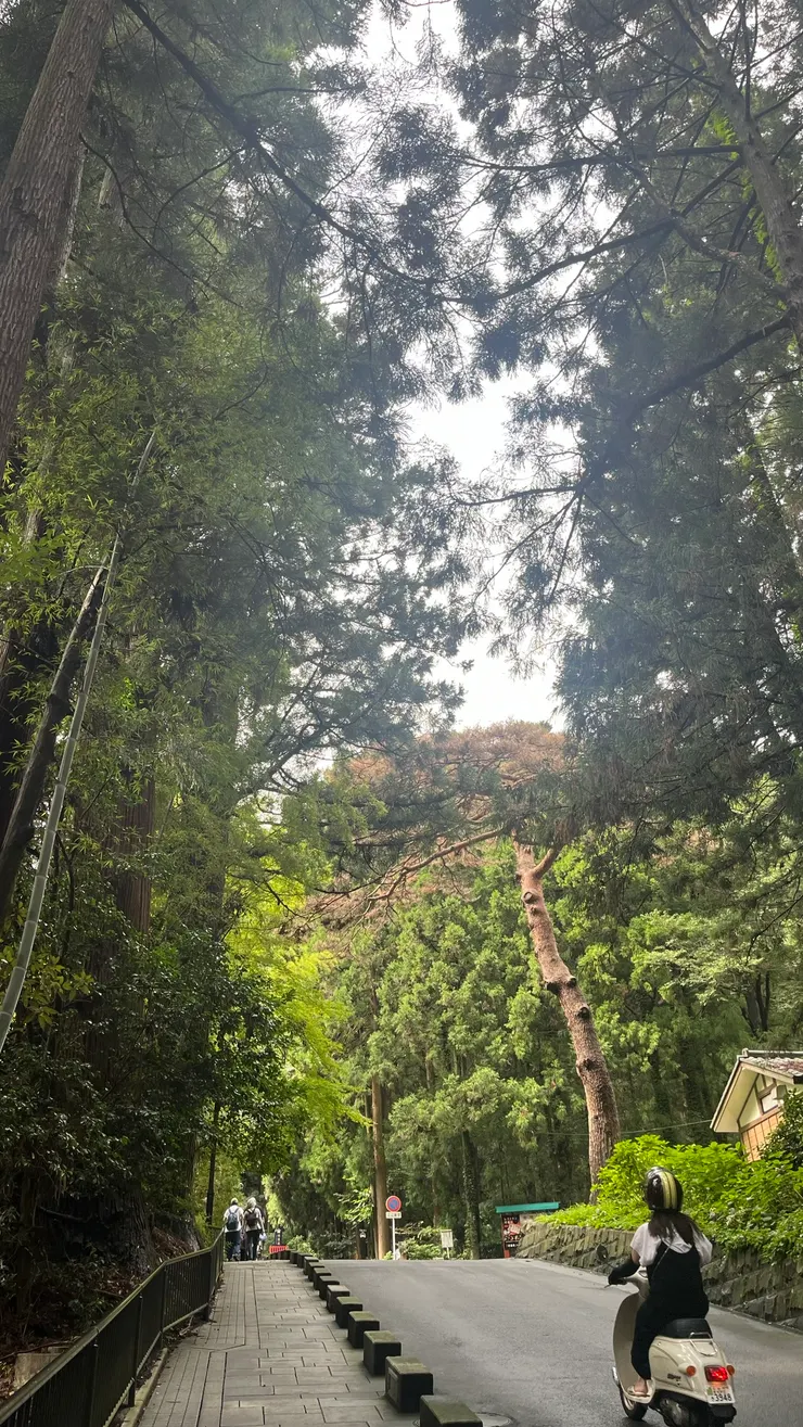 本來以為會人聲鼎沸，結果倒也還算靜謐。