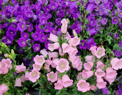 宇宙間無奇不有，生活記錄無止境