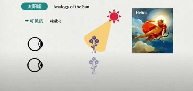 太陽的光照下，讓我們對事物產生新的事物，並知道花朵的存在