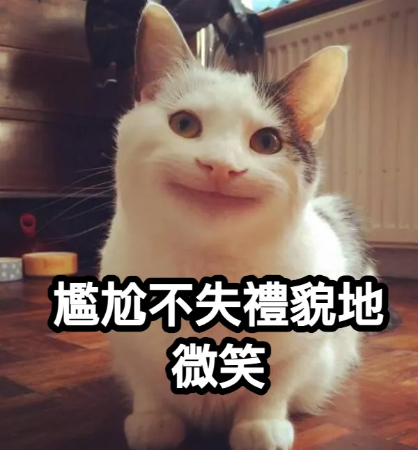 完全可以想像老實的Ringo多尷尬