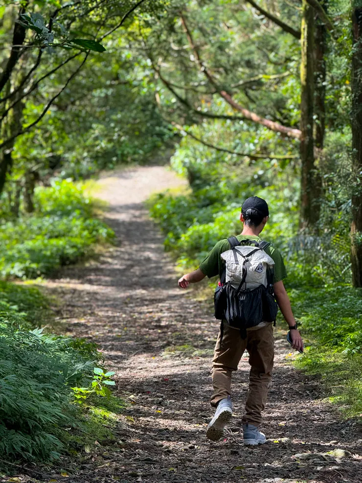 踫踫跳跳走太快的哥哥