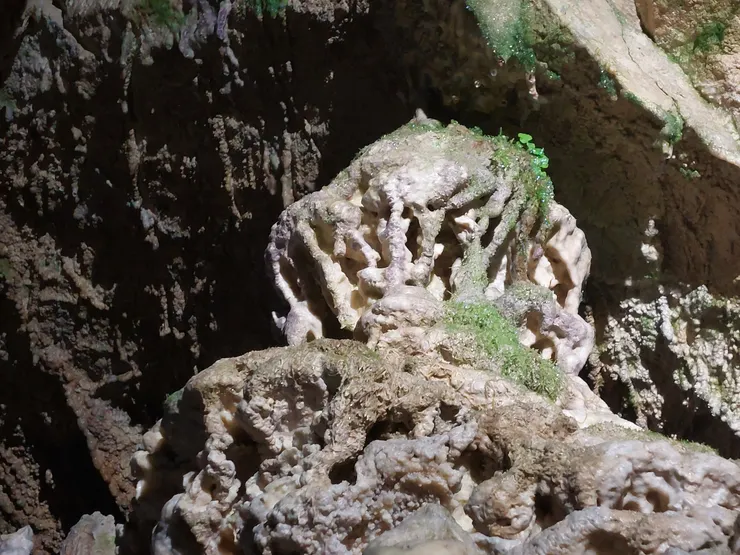 可愛的鐘乳石皇冠