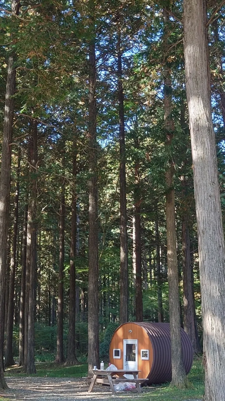 雖然空間不大，但感覺很有趣！