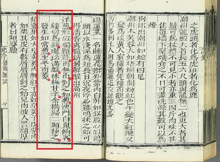 洋蔥最早的文獻記載。見(清)吳振方《嶺南雜記》下-洋蔥