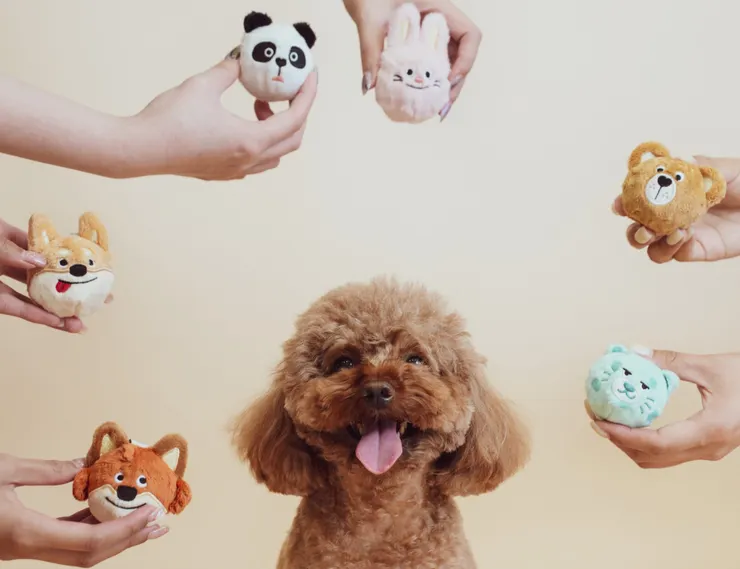 圖說：倍力寵物推出玩具新品「啾啾球盲盒」，外觀採親膚絨毛設計，內藏發聲球，藉由互動增加毛孩運動量，創造毛孩和飼主歡樂回憶。（資料來源：倍力寵物健康食品）