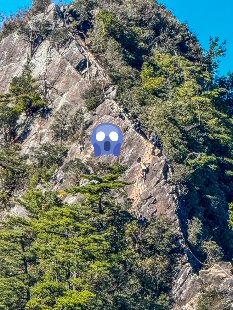 鏡頭拉近後～～～哇！！有點可怕耶！🫣