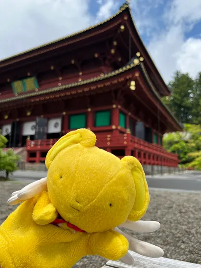 世界文化遺產-日光東照宮