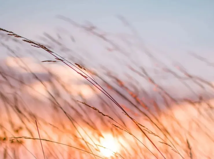 Photo by Daiji Umemoto on Unsplash