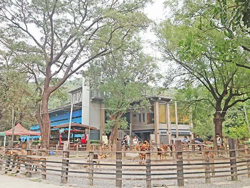 高雄華一休閒農場的「六星級羊舍」與戶外放牧區，可在此體驗餵羊樂趣，是深受好評的南部親子牧場。