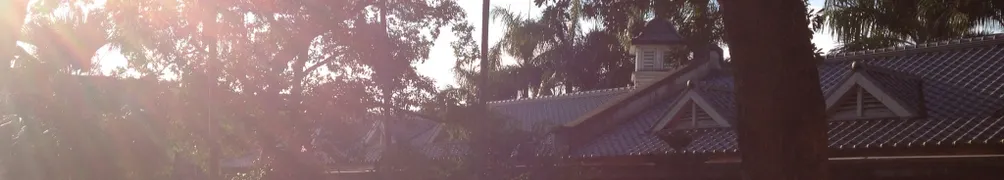 義平弟 Yippine的沙龍