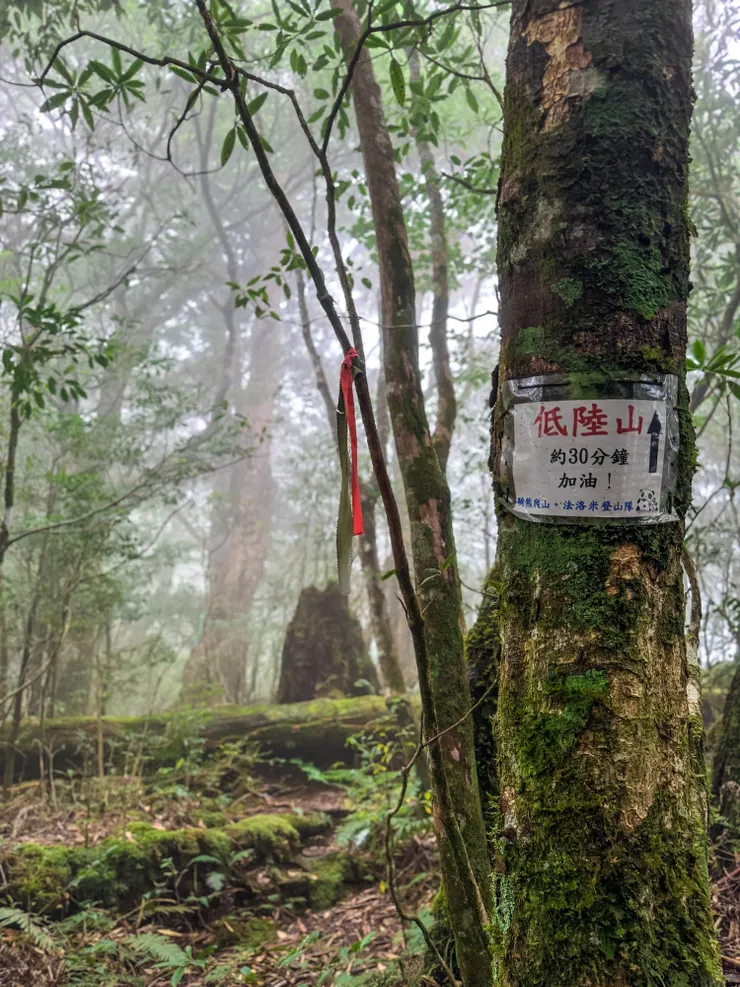 我的老天鵝啊～～還要30分鐘！！！