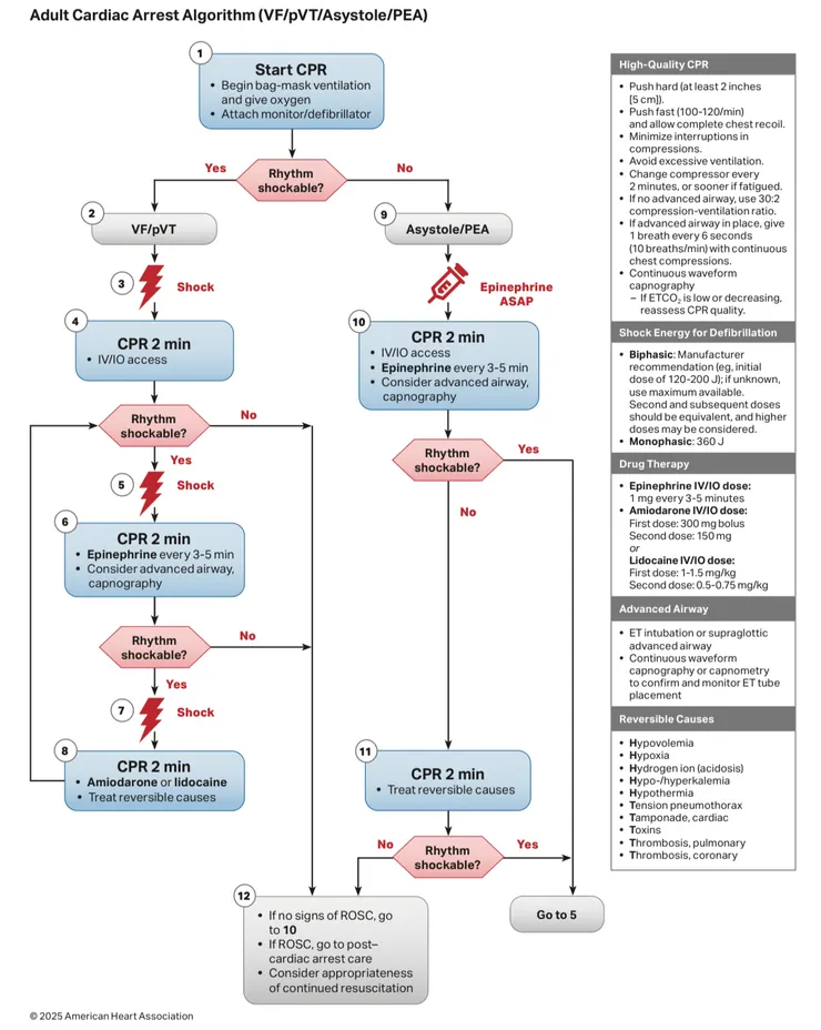 VF/pVT 或是 PEA/Asystole 處理流程（2025 AHA)