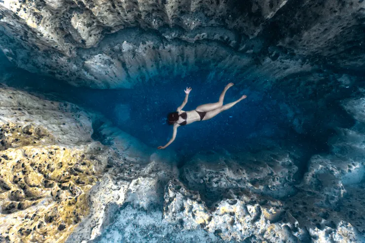 水下必拍:惡魔之眼Evil Eye