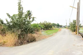 根據那位爸爸的描述，支線終點在路底的玉米田附近