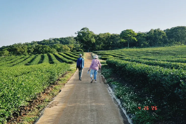 爸媽的背影 @慈濟茶園