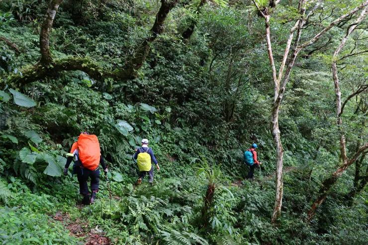 越嶺後開始緩步下降