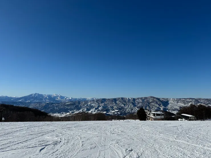 在山上看到的美景