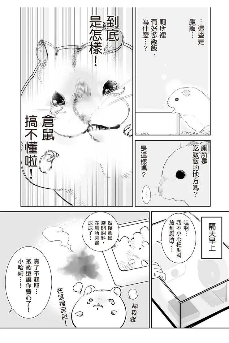 哈哈,也太可愛了吧,我以前養的小傢伙還會把乾糧搬到廁所裡吃,然後吃到一半直接在廁所裡睡著(眼神死)