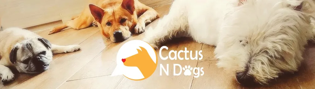 Cactus N Dogs的沙龍