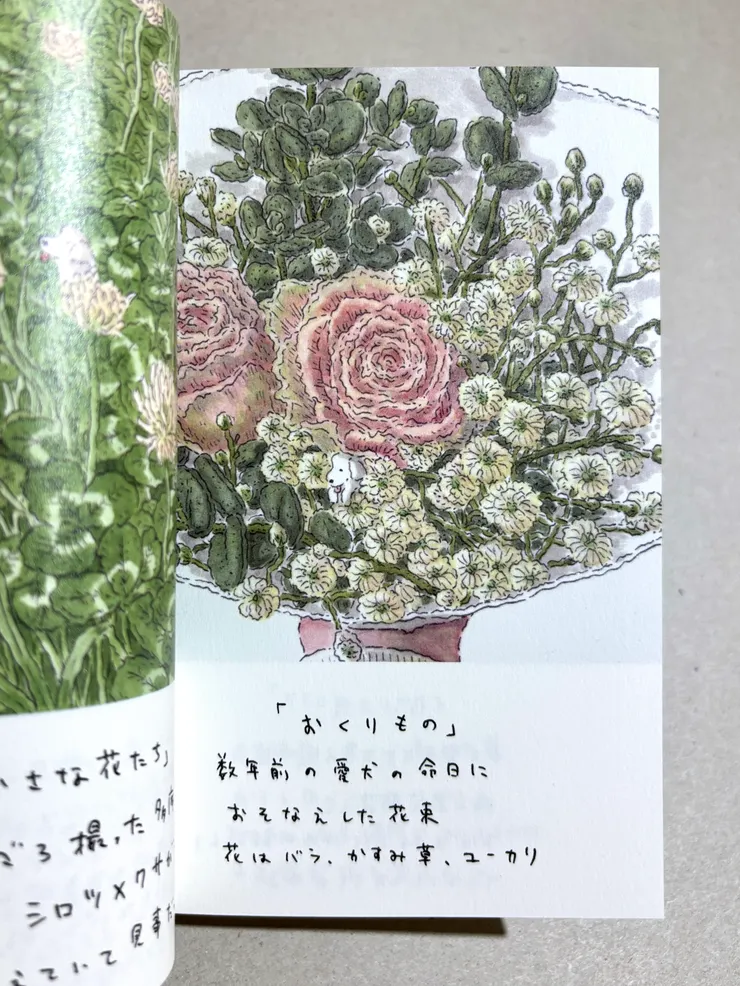 《こいぬとはな》